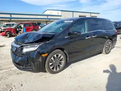5FNRL6H64RB047556 2024 HONDA ODYSSEY