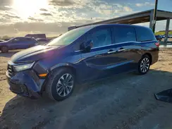 5FNRL6H64RB047895 2024 HONDA ODYSSEY