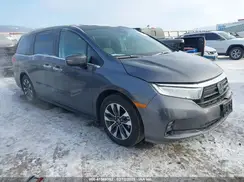 5FNRL6H64RB049405 2024 HONDA ODYSSEY