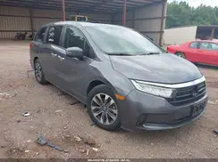 5FNRL6H64RB049825 2024 HONDA ODYSSEY