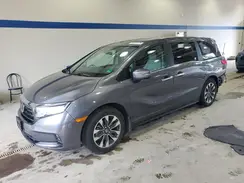 5FNRL6H64RB057651 2024 HONDA ODYSSEY