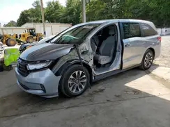 5FNRL6H64RB065572 2024 HONDA ODYSSEY