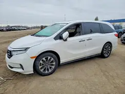5FNRL6H64RB073199 2024 HONDA ODYSSEY