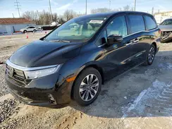 5FNRL6H64RB076264 2024 HONDA ODYSSEY