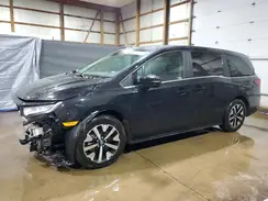 5FNRL6H64SB081342 2025 HONDA ODYSSEY