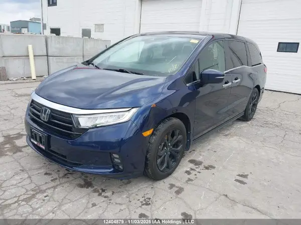 5FNRL6H65NB501260 2022 HONDA ODYSSEY - Image 2