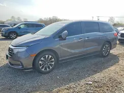 5FNRL6H65PB026647 2023 HONDA ODYSSEY