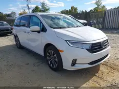 5FNRL6H65RB007535 2024 HONDA ODYSSEY