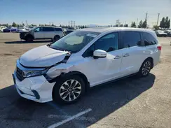 5FNRL6H65RB008264 2024 HONDA ODYSSEY