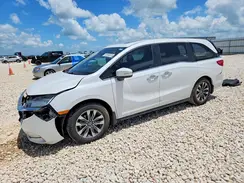 5FNRL6H65RB018969 2024 HONDA ODYSSEY