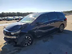 5FNRL6H65RB031950 2024 HONDA ODYSSEY