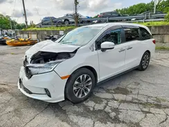 5FNRL6H65RB033598 2024 HONDA ODYSSEY