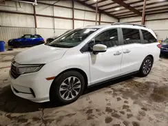 5FNRL6H65RB038736 2024 HONDA ODYSSEY