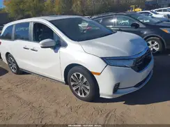 5FNRL6H65RB045590 2024 HONDA ODYSSEY