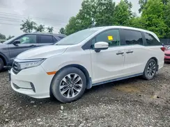 5FNRL6H65RB045623 2024 HONDA ODYSSEY