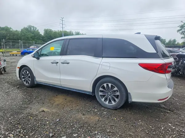 5FNRL6H65RB045623 2024 HONDA ODYSSEY - Image 2