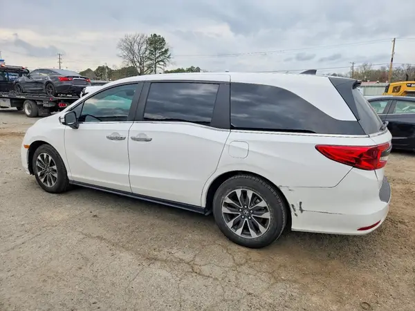5FNRL6H65RB048098 2024 HONDA ODYSSEY - Image 2
