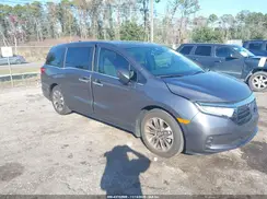 5FNRL6H65RB048473 2024 HONDA ODYSSEY