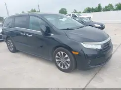 5FNRL6H65RB049056 2024 HONDA ODYSSEY