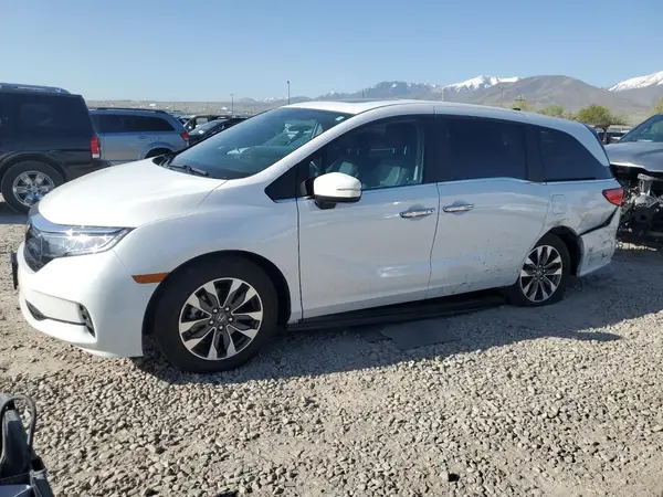 5FNRL6H65RB049073 2024 HONDA ODYSSEY - Image 1