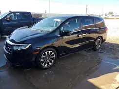 5FNRL6H65RB050272 2024 HONDA ODYSSEY