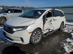 5FNRL6H65RB051275 2024 HONDA ODYSSEY