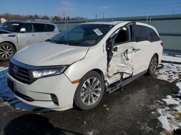 5FNRL6H65RB051275 2024 HONDA ODYSSEY - Image 1