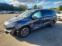5FNRL6H65RB053950 2024 HONDA ODYSSEY