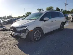 5FNRL6H65RB059828 2024 HONDA ODYSSEY