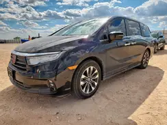 5FNRL6H65RB063765 2024 HONDA ODYSSEY