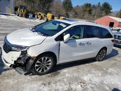 5FNRL6H65RB064382 2024 HONDA ODYSSEY