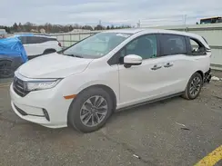 5FNRL6H65RB064446 2024 HONDA ODYSSEY