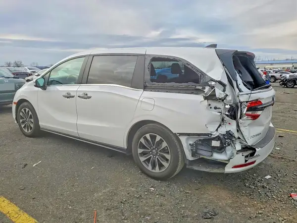 5FNRL6H65RB064446 2024 HONDA ODYSSEY - Image 2
