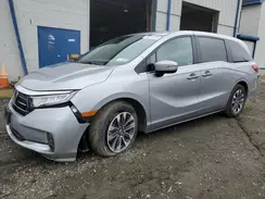 5FNRL6H65RB065502 2024 HONDA ODYSSEY
