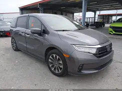 5FNRL6H65RB066780 2024 HONDA ODYSSEY