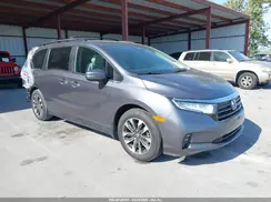 5FNRL6H65RB069145 2024 HONDA ODYSSEY