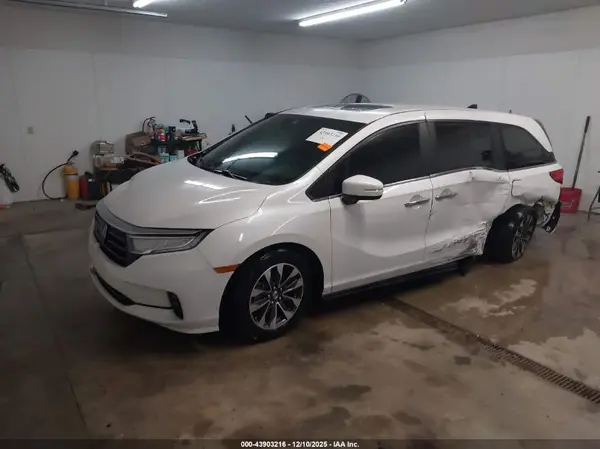 5FNRL6H65RB075981 2024 HONDA ODYSSEY - Image 2