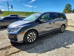 5FNRL6H65SB031856 2025 HONDA ODYSSEY