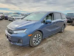 5FNRL6H65SB059172 2025 HONDA ODYSSEY