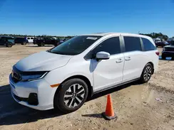 5FNRL6H65TB007249 2026 HONDA ODYSSEY
