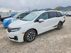 5FNRL6H65TB015660 2026 HONDA ODYSSEY