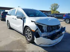 5FNRL6H66PB029475 2023 HONDA ODYSSEY