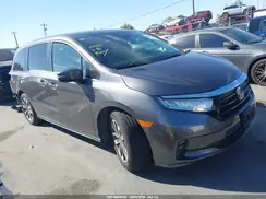 5FNRL6H66PB032070 2023 HONDA ODYSSEY