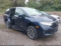 5FNRL6H66PB035079 2023 HONDA ODYSSEY
