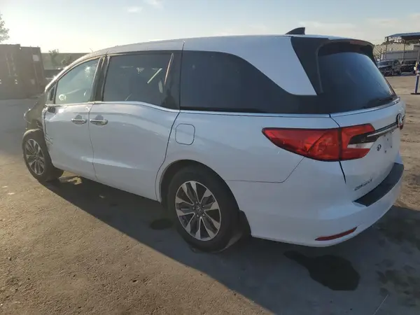 5FNRL6H66PB035681 2023 HONDA ODYSSEY - Image 2