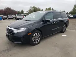 5FNRL6H66PB045370 2023 HONDA ODYSSEY