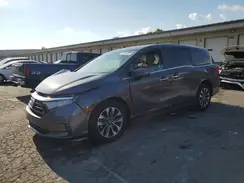 5FNRL6H66PB051332 2023 HONDA ODYSSEY