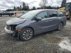 5FNRL6H66RB007026 2024 HONDA ODYSSEY