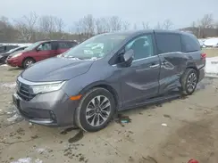 5FNRL6H66RB007396 2024 HONDA ODYSSEY