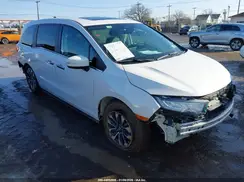 5FNRL6H66RB008256 2024 HONDA ODYSSEY